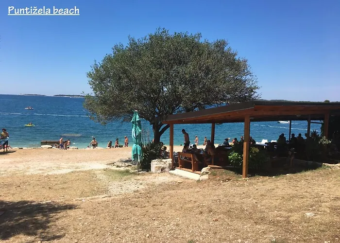 Madis & Free Bikes * Πούλα