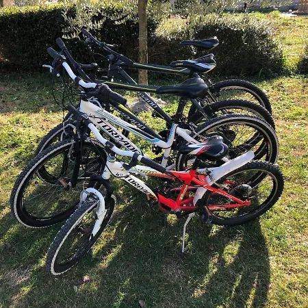 Madis & Free Bikes *