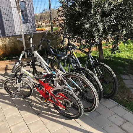 Madis & Free Bikes Pula