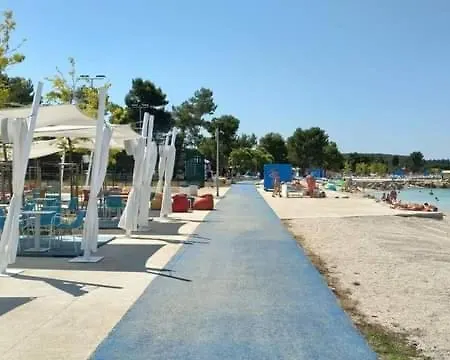 Daire Madis & Free Bikes