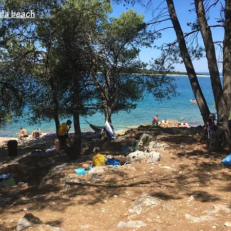 Madis & Free Bikes *