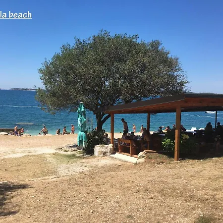 Madis & Free Bikes * Πούλα