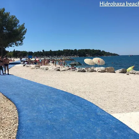 Madis & Free Bikes *