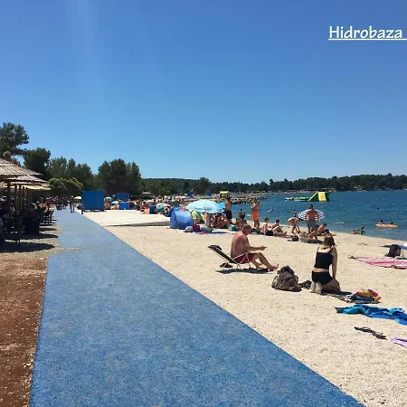 Daire Madis & Free Bikes *