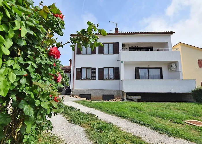 Madis & Free Bikes Apartment *