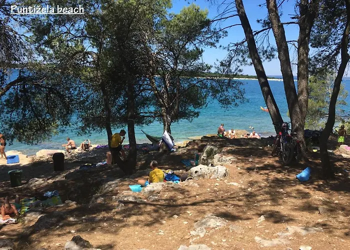 Madis & Free Bikes *