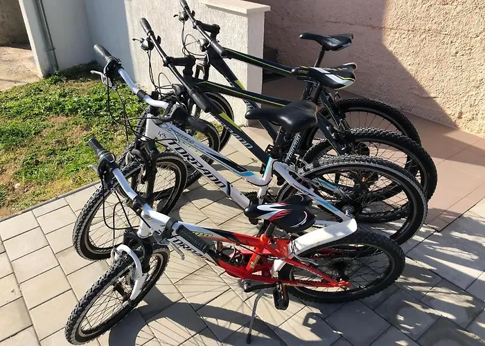 Madis & Free Bikes *