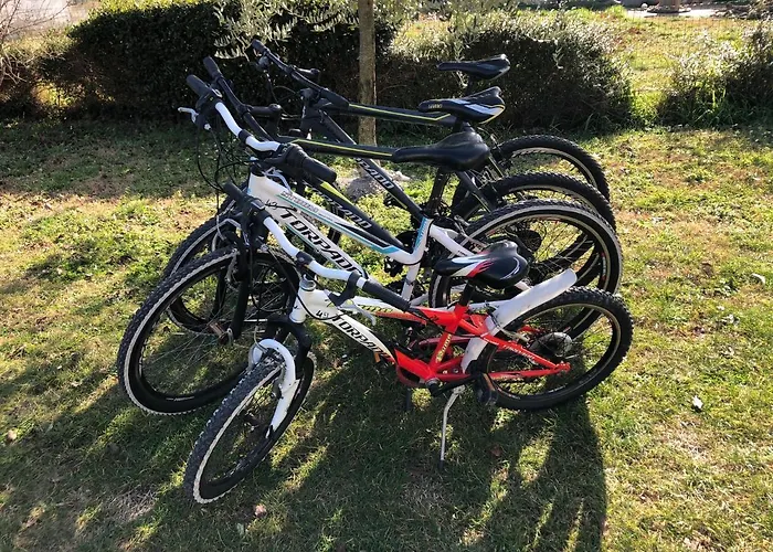 Madis & Free Bikes *