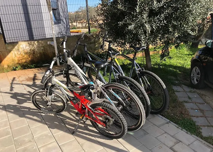 Madis & Free Bikes Pula